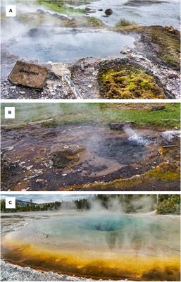 Comparative Analysis of Microbial Diversity Across Temperature Gradients in <mark class="highlighted">Hot Springs</mark> From Yellowstone and Iceland